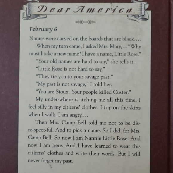 Lot of Great America Books New NOT Read. American History from up to 13 yo  fema - Picture 15 of 17